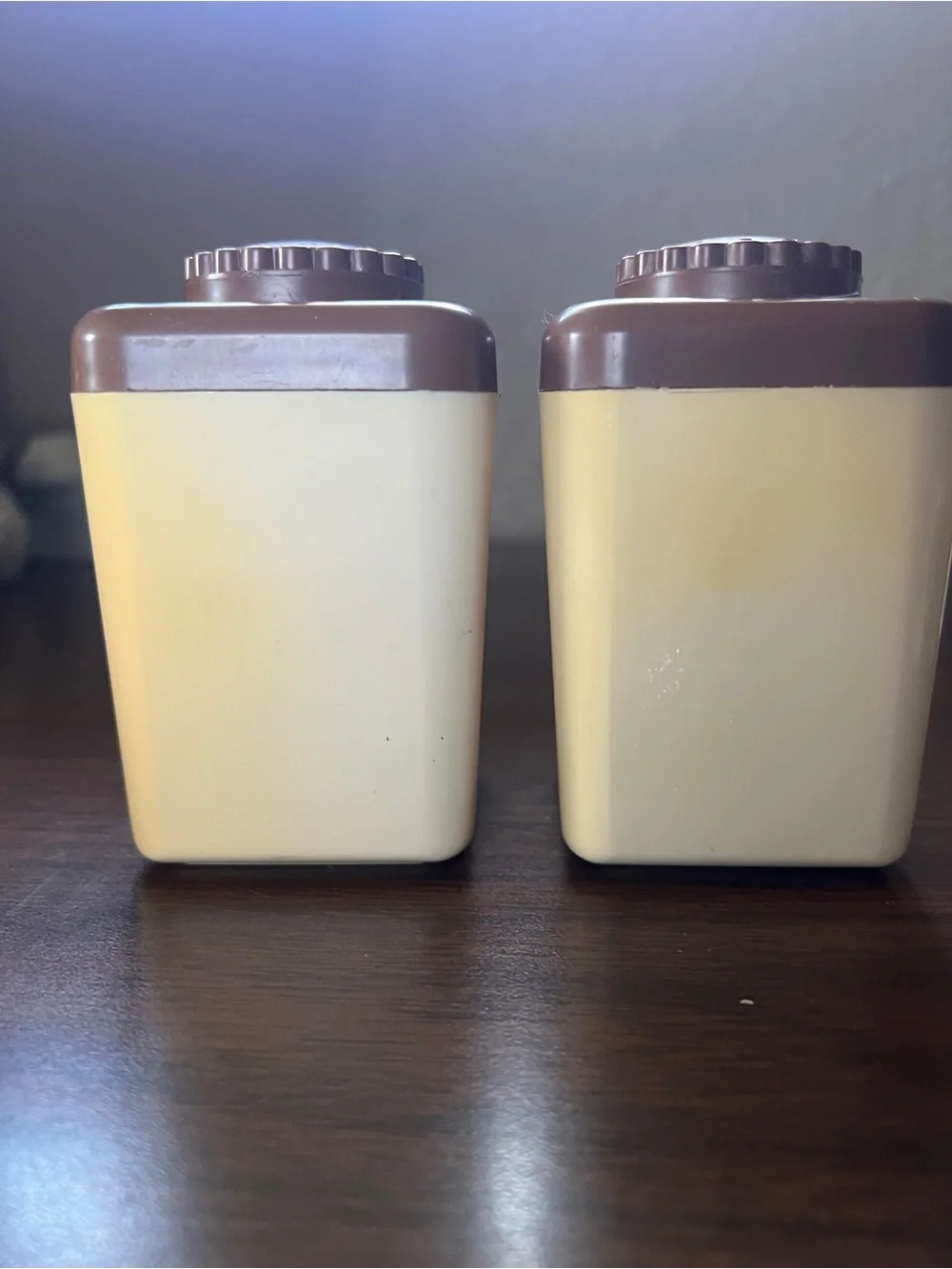 Vintage Large Plastic Salt and Pepper Shakers 60s